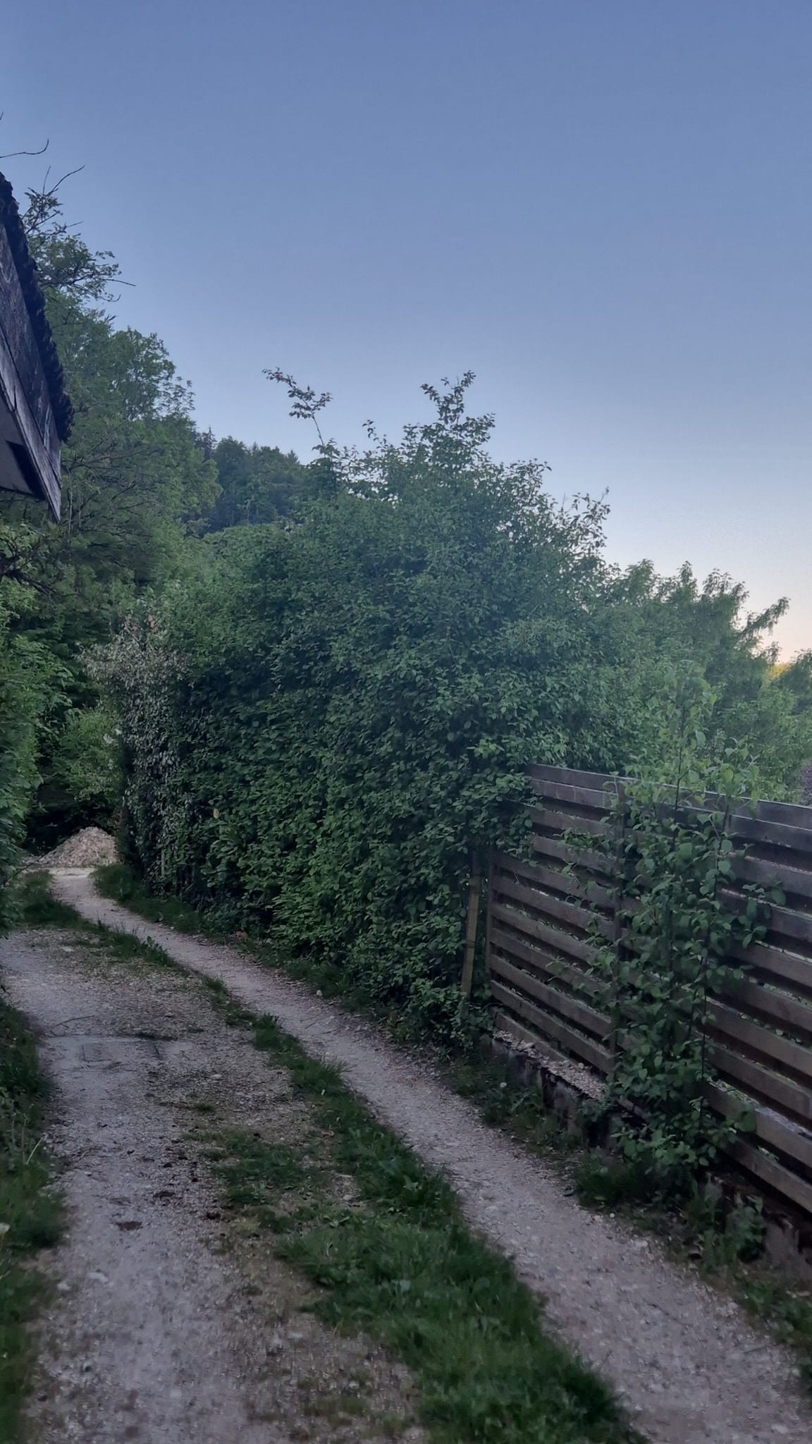 Terrain avant remise en état