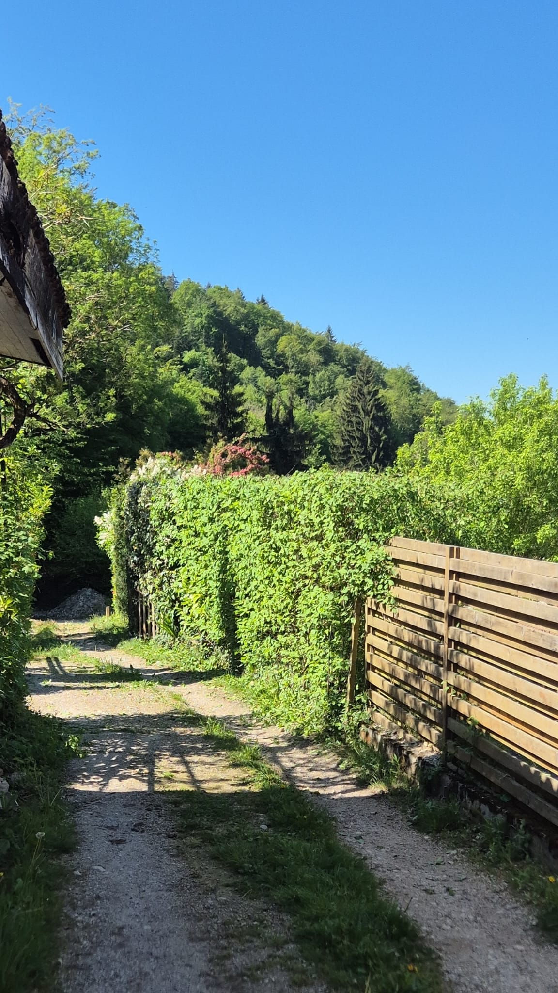 Terrain après remise en état