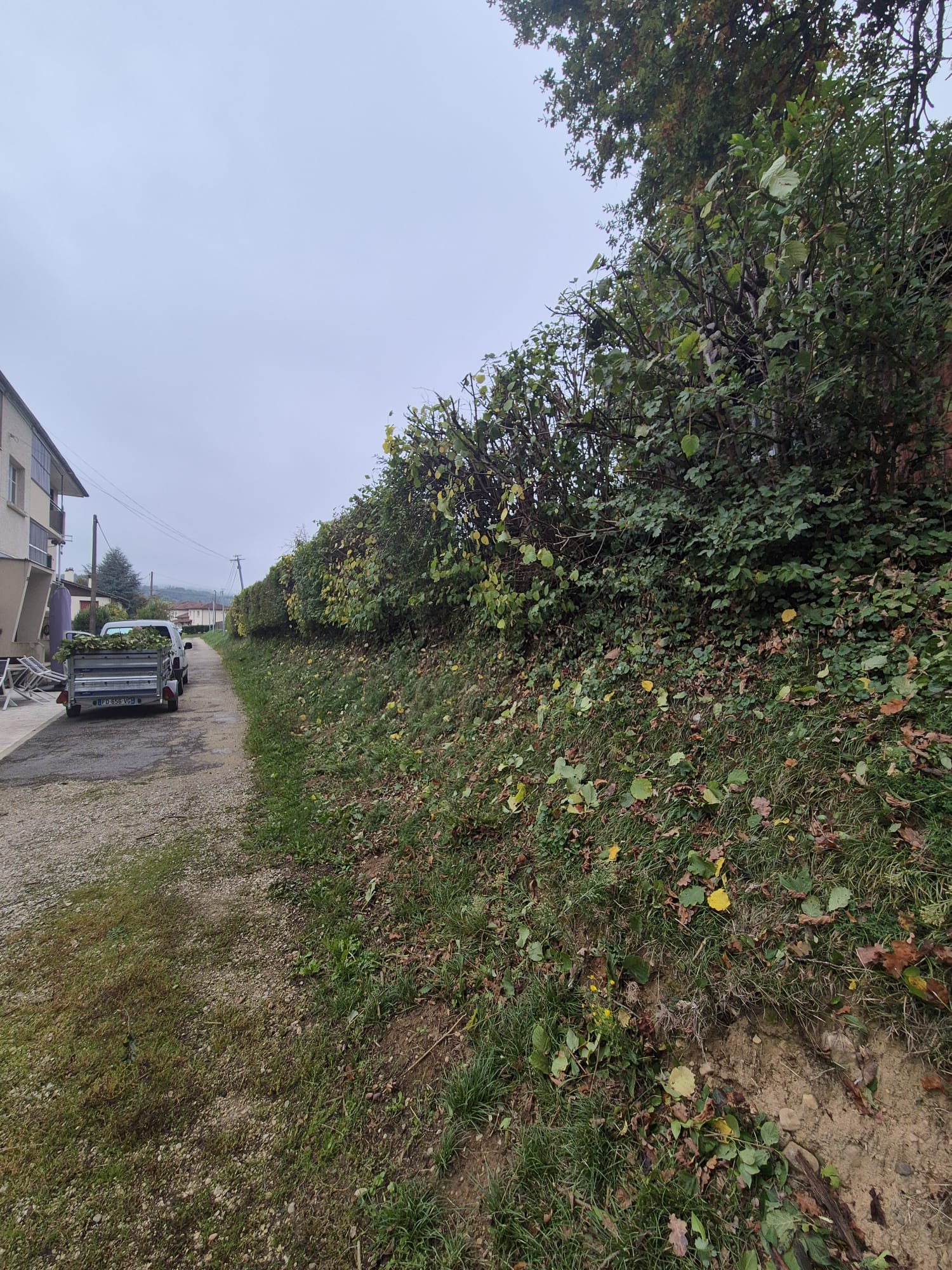 Jardin entretenu après intervention